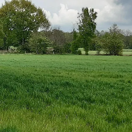 Auf Dem Lande *